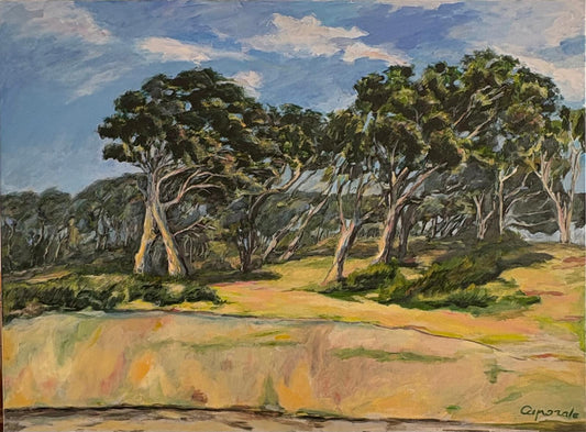 Tramontane